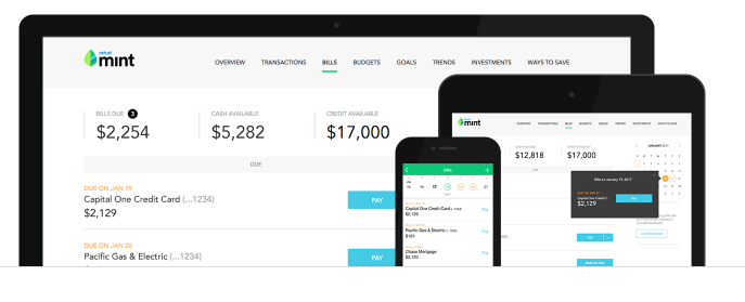 Mint Smartphone App